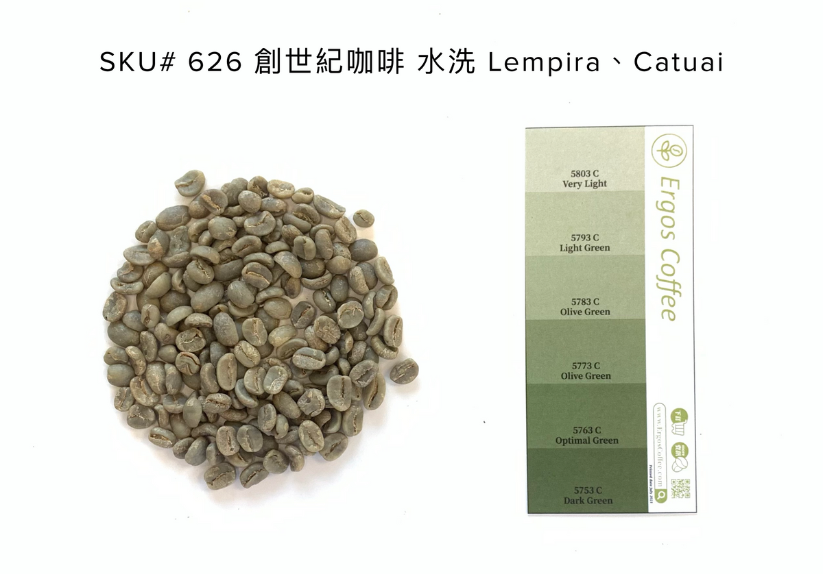 626 創世紀咖啡 Genesis Coffee・Lempira、Catuai・水洗處理法・宏都拉斯 Intibucá
