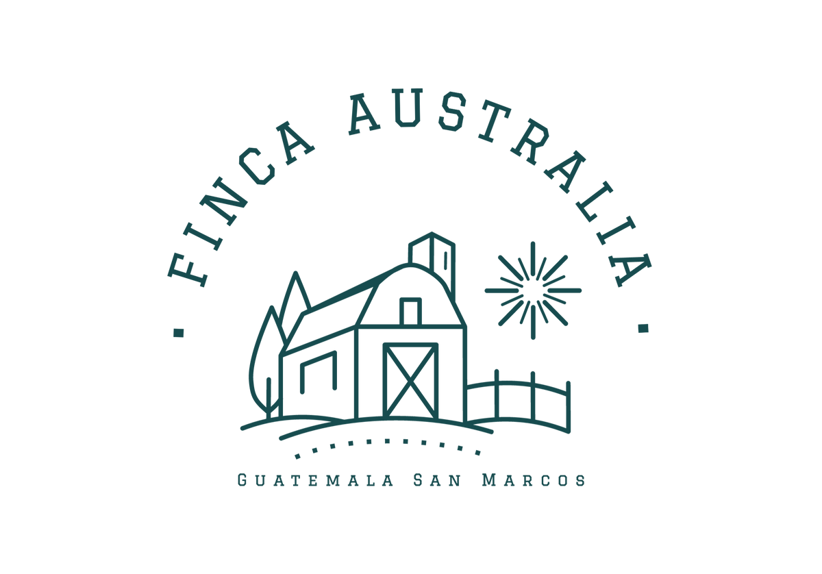 751 澳大利亞莊園 Finca Australia．波旁．水洗處理法．聖馬可斯產區