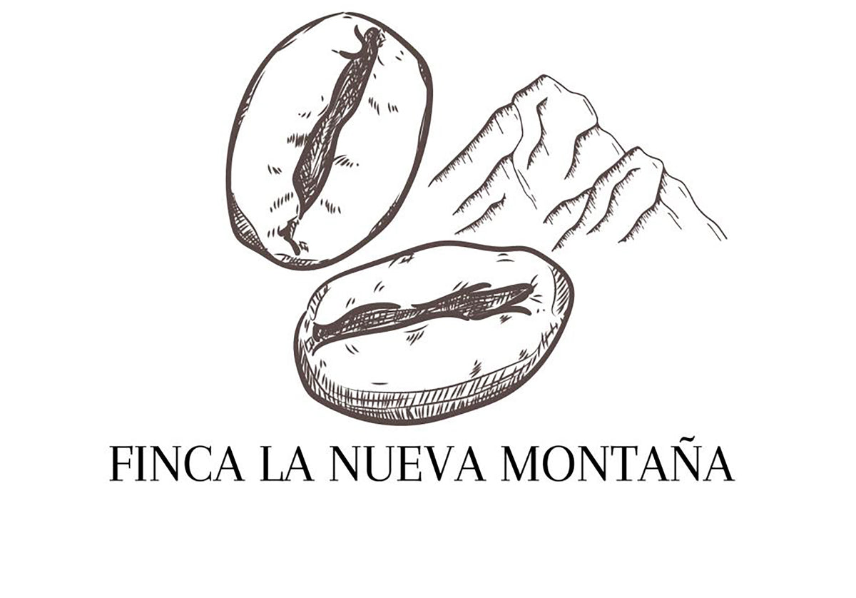749 蒙娜莊園 Finca La Nueva Montana・卡杜艾・日曬處理法・法漢尼斯