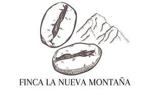 749 蒙娜莊園 Finca La Nueva Montana・卡杜艾・日曬處理法・法漢尼斯