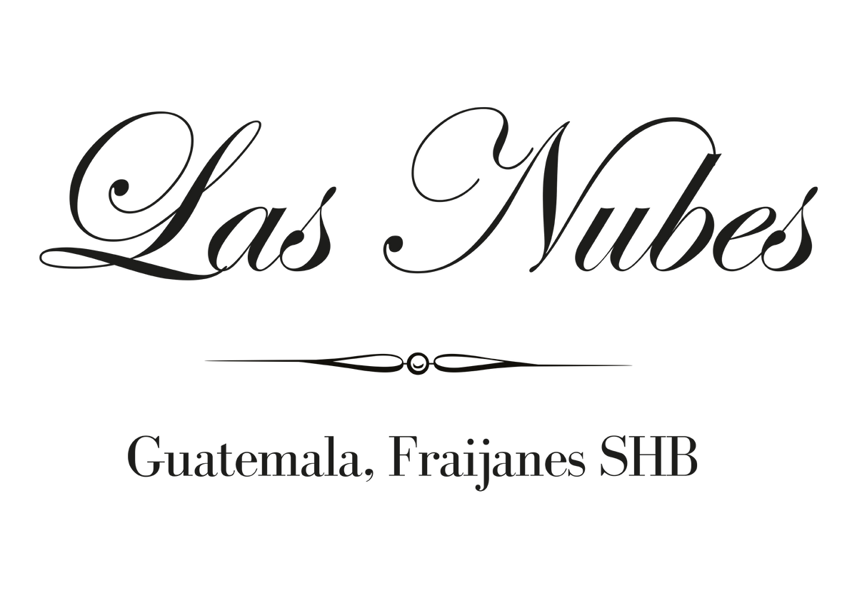 732 弩雲咖啡 Las Nubes coffee・黃卡杜艾・水洗處理法・法漢尼斯
